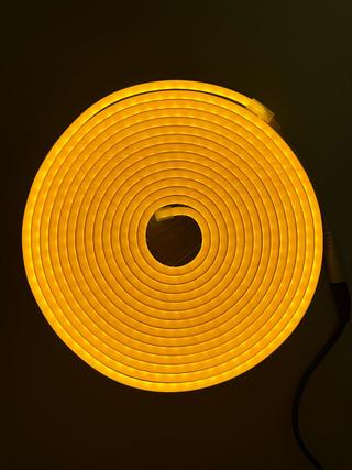 (2024-06-FJ)MANGUEIRA NEON DOURADO LEON GTS