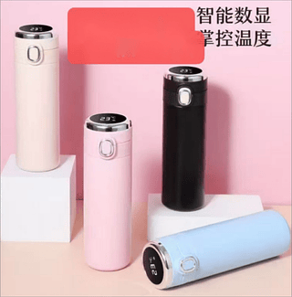 GARRAFA TERMICA PEAS CUP 420ML