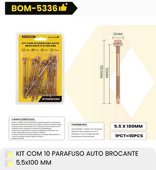 KIT COM 10 PARAFUSO AUTO BROCANTE 5.5X100MM BOMVINK