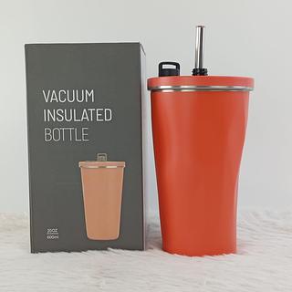 VACUUM INSULATED BOTTLE 20OZ 600ML NO. H61