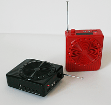 MEGAPHONE LEON (NAO ESTADO)