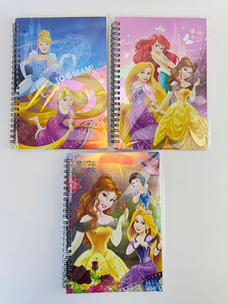 CADERNO ESCOLAR ARIEL YOUR OURN NO.:325