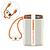BATERIA PORTÁTIL RAPIDO 2 CABOS TIPO-C LIGHTNING 42.5W O 10000MAH HMASTON