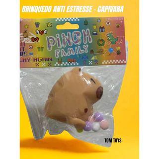 MINI CAPIVARA DE GEL TOY KIDS