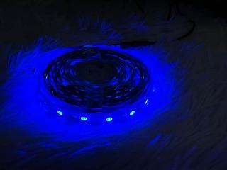 LEON-5050-AZ FITA DE LED AZUL 5M LEON GTS